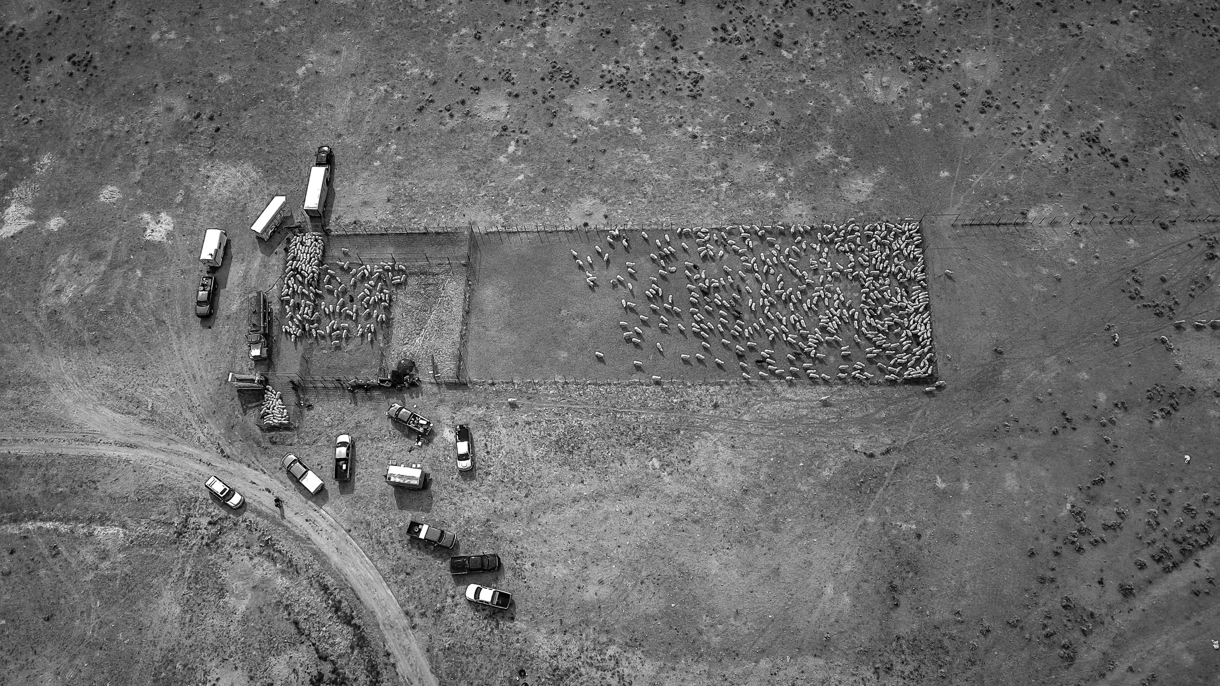 Basin and Range from Above