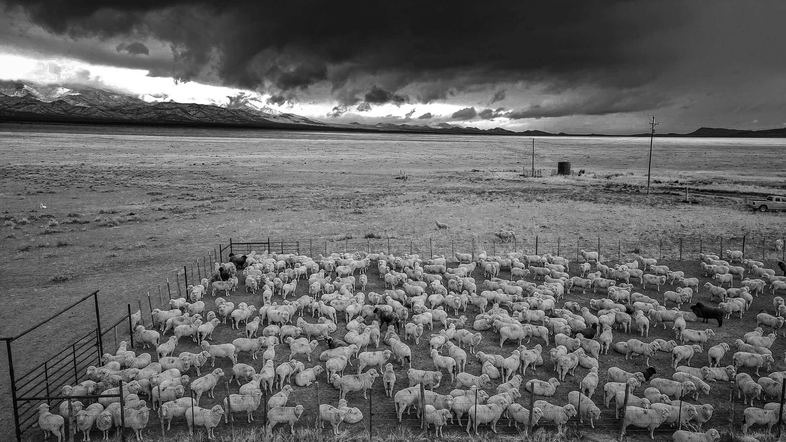Basin and Range from Above