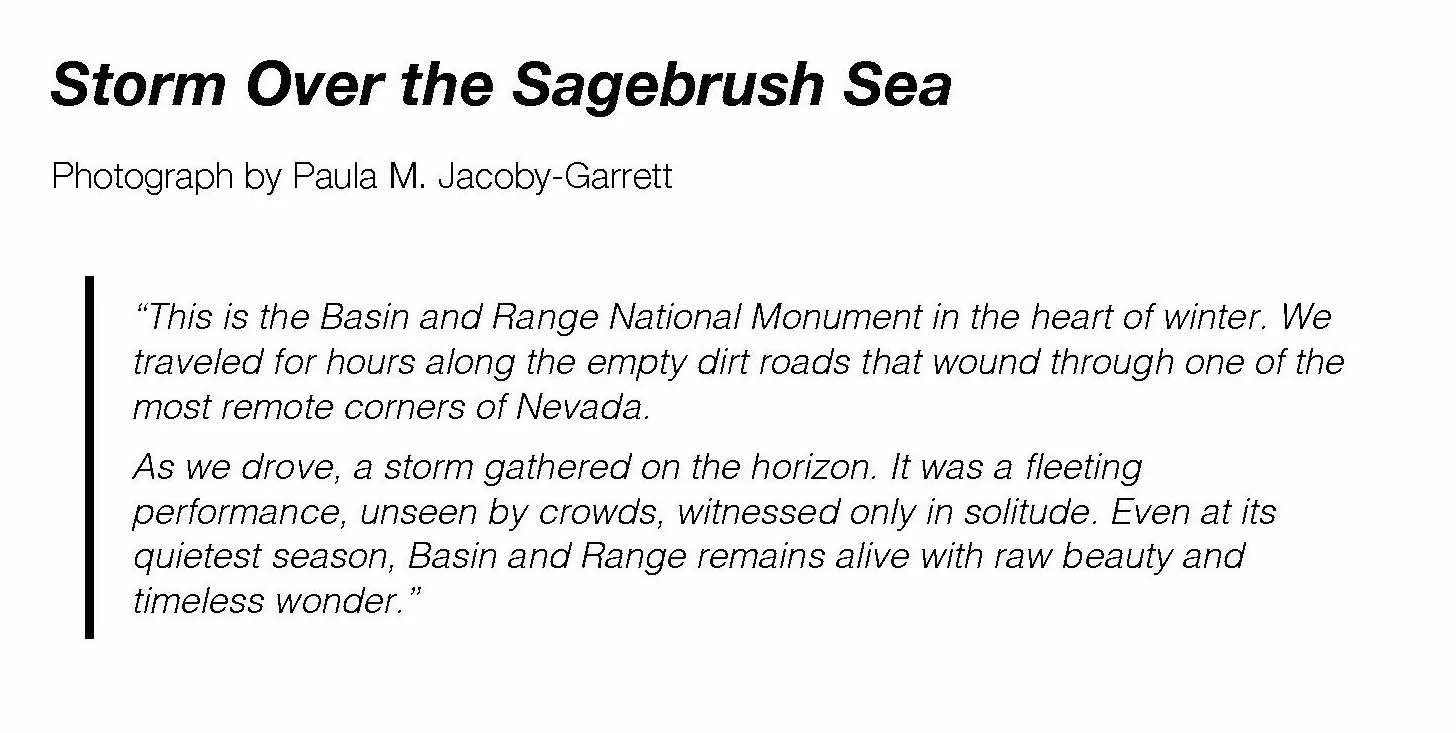 Paula Jocoby-Garrett_Storm Over the Sagebrush Seas_basin and range_text panel_FINAL.jpeg