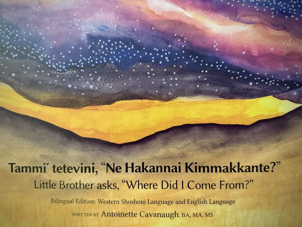 Book Launch and Author Talk with Antoinette Cavanaugh