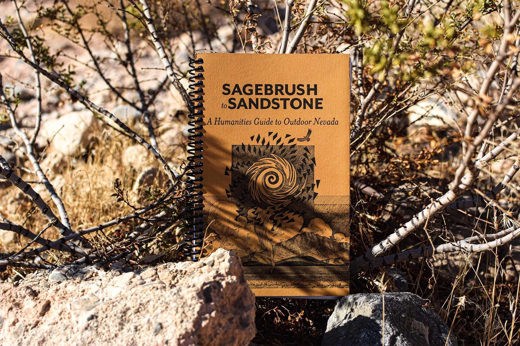Sagebrush to Sandstone: Prose Form Workshop with Katie Karnehm-Esh