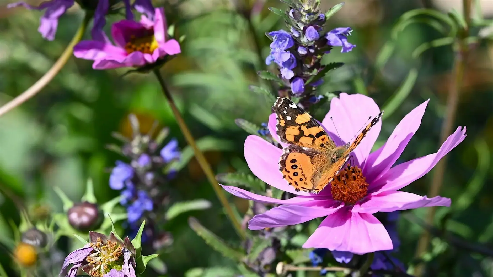 [Around the Table] Cui-Zines Workshop at Our Mothers' Gardens Book Festival
