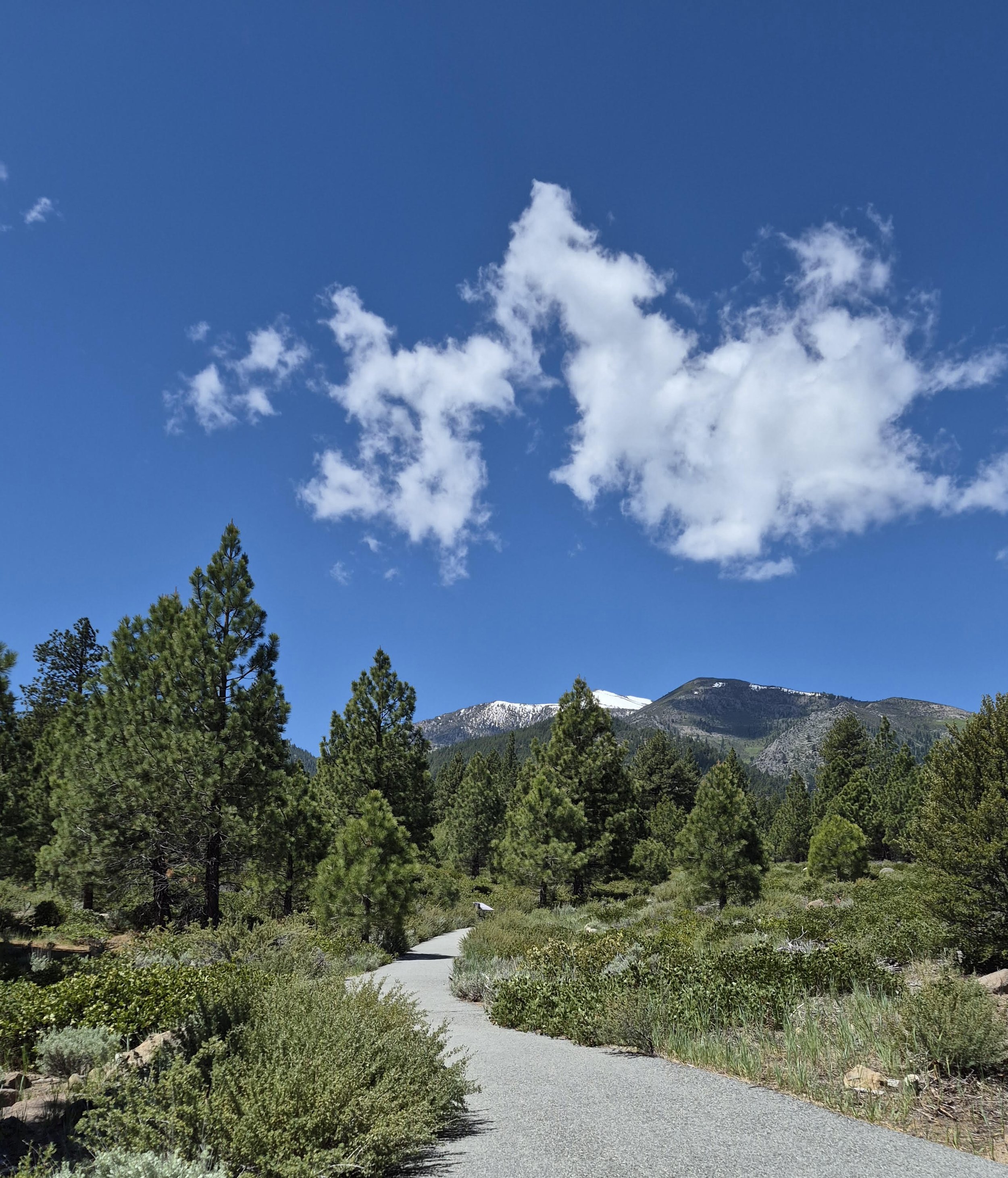 Footsteps into Story: How Travel and Hiking Inspire Writing