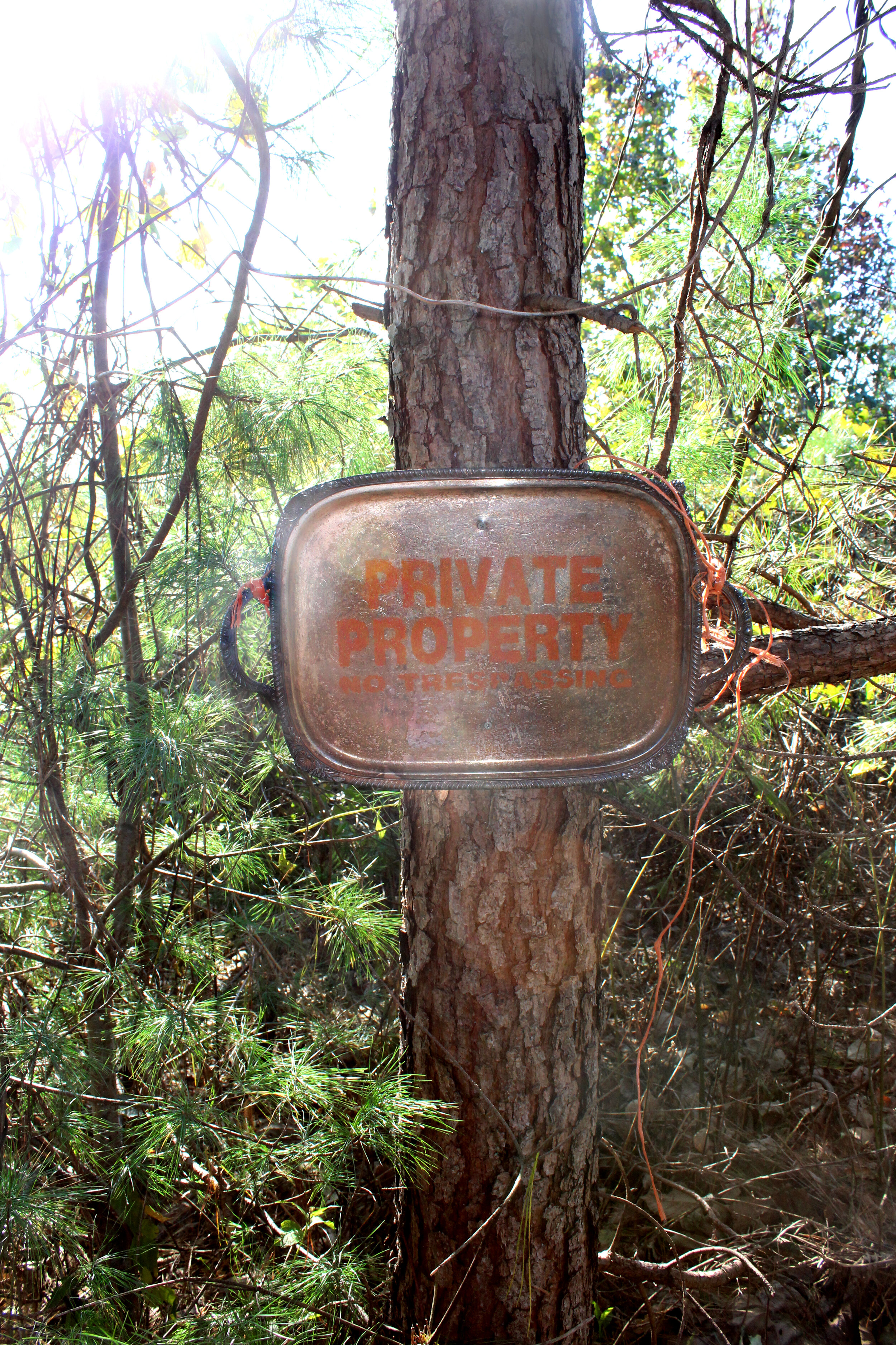  Installation documentation of "Stake a Claim, (Homage to Josephine)" (Red clay on silver-plated platter) in Landrum, SC 