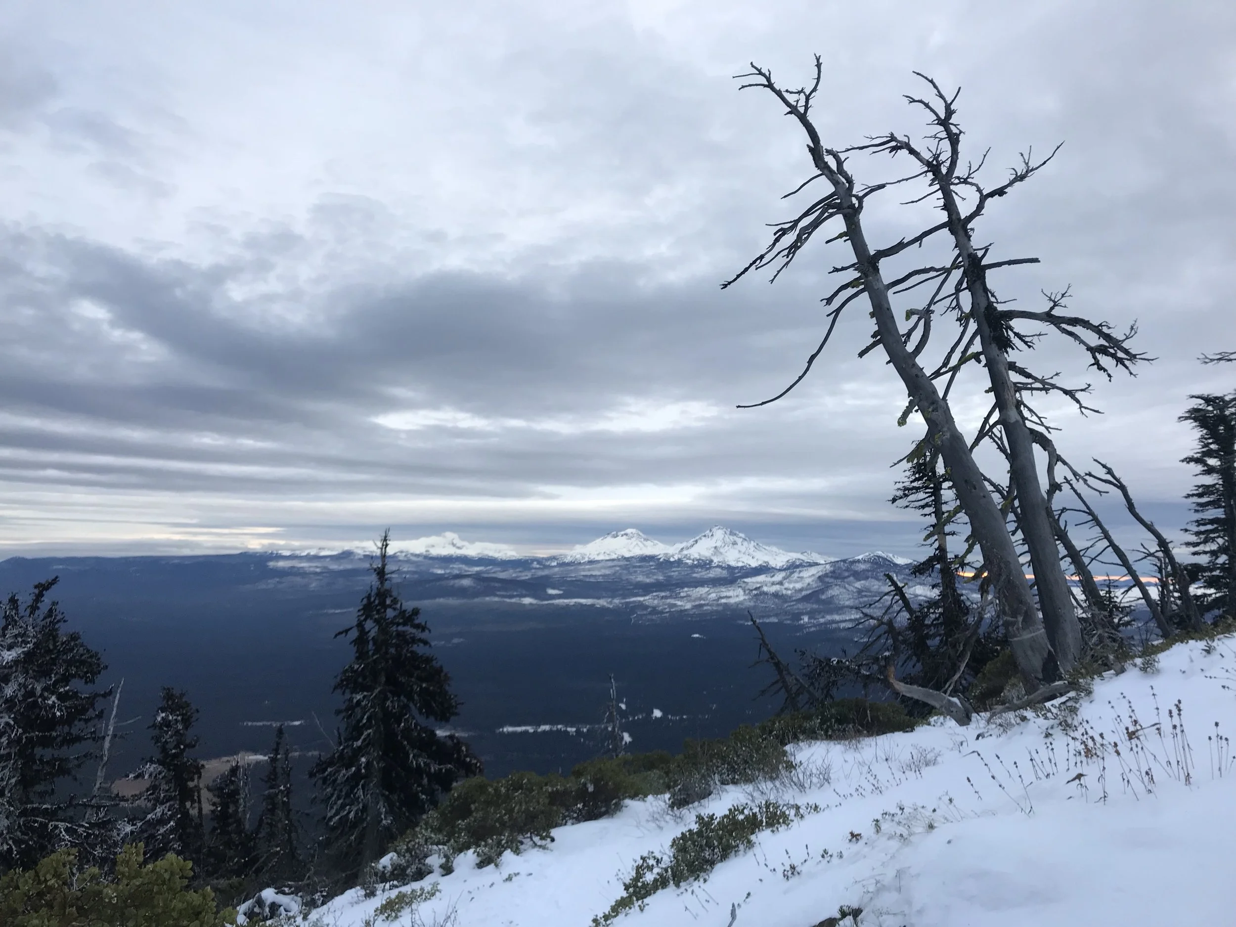View of the Three Sisters mountain range from the top of Black Butte.