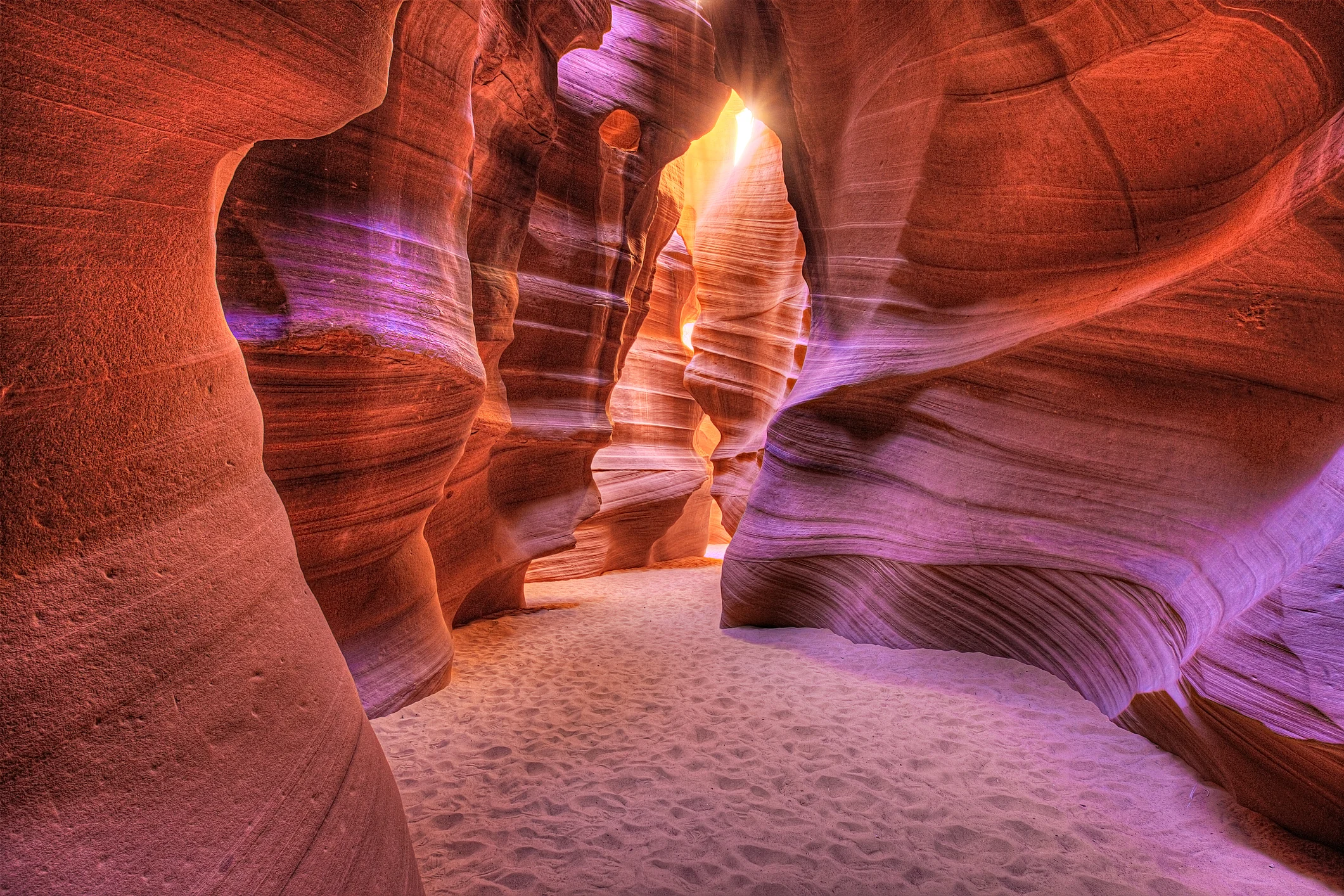 Photo by Left_Coast_Photographer/iStock / Getty Images