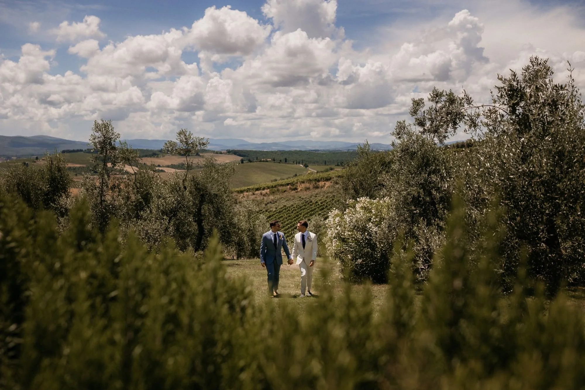 Two men walking hand-in-hand through a vineyard under a partly cloudy sky, with rolling hills in the background.