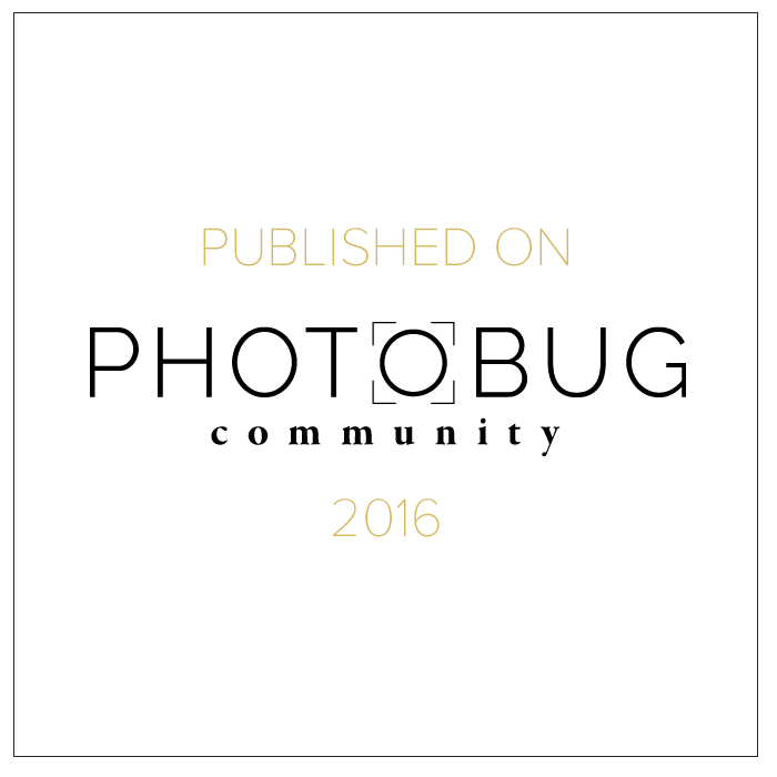 Photobug-community-will-khoury-photography.png