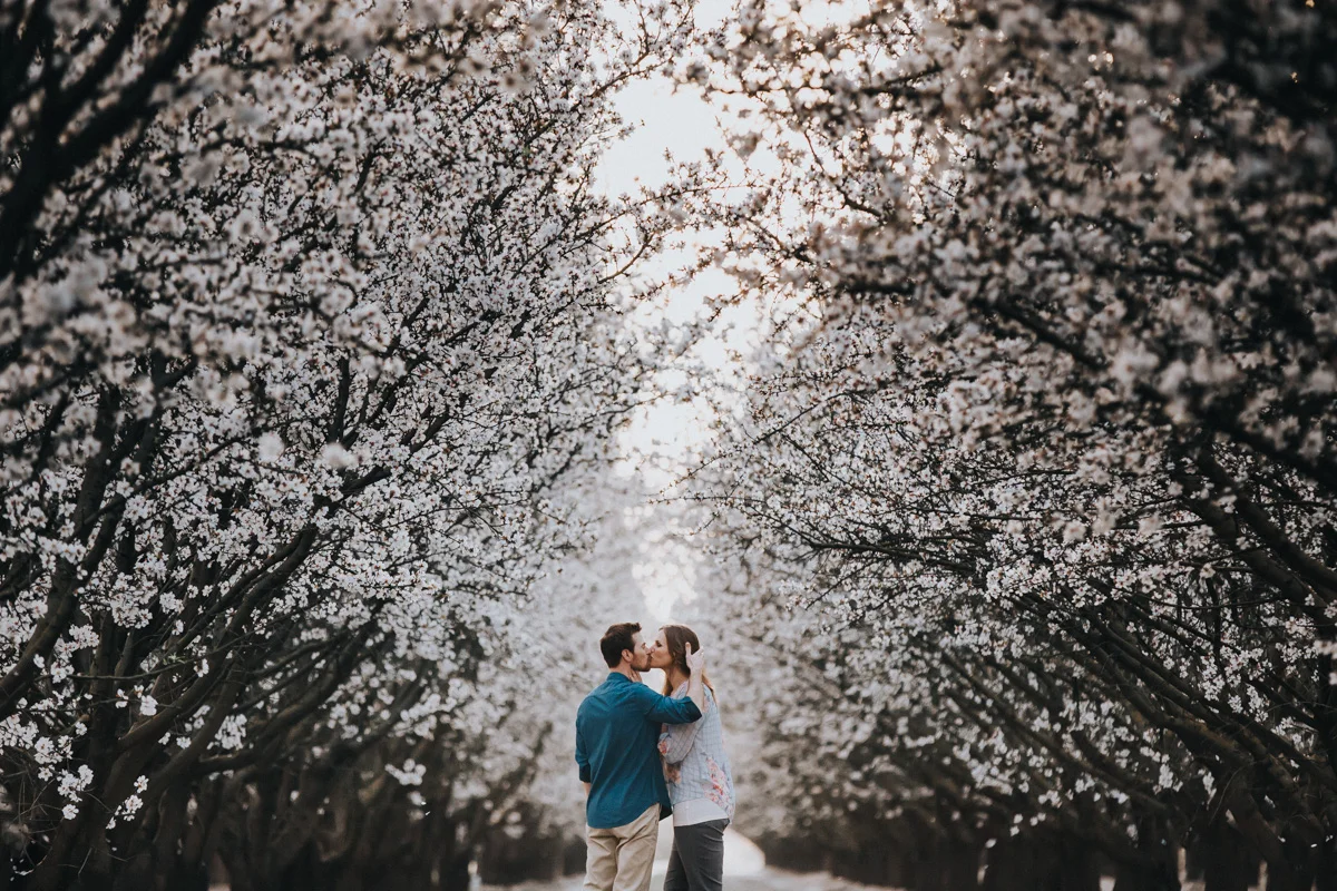 Will-Khoury-Photography-Adventure-Elopement-Intimate-Wedding-Photographer-Northern-California_0354.jpg
