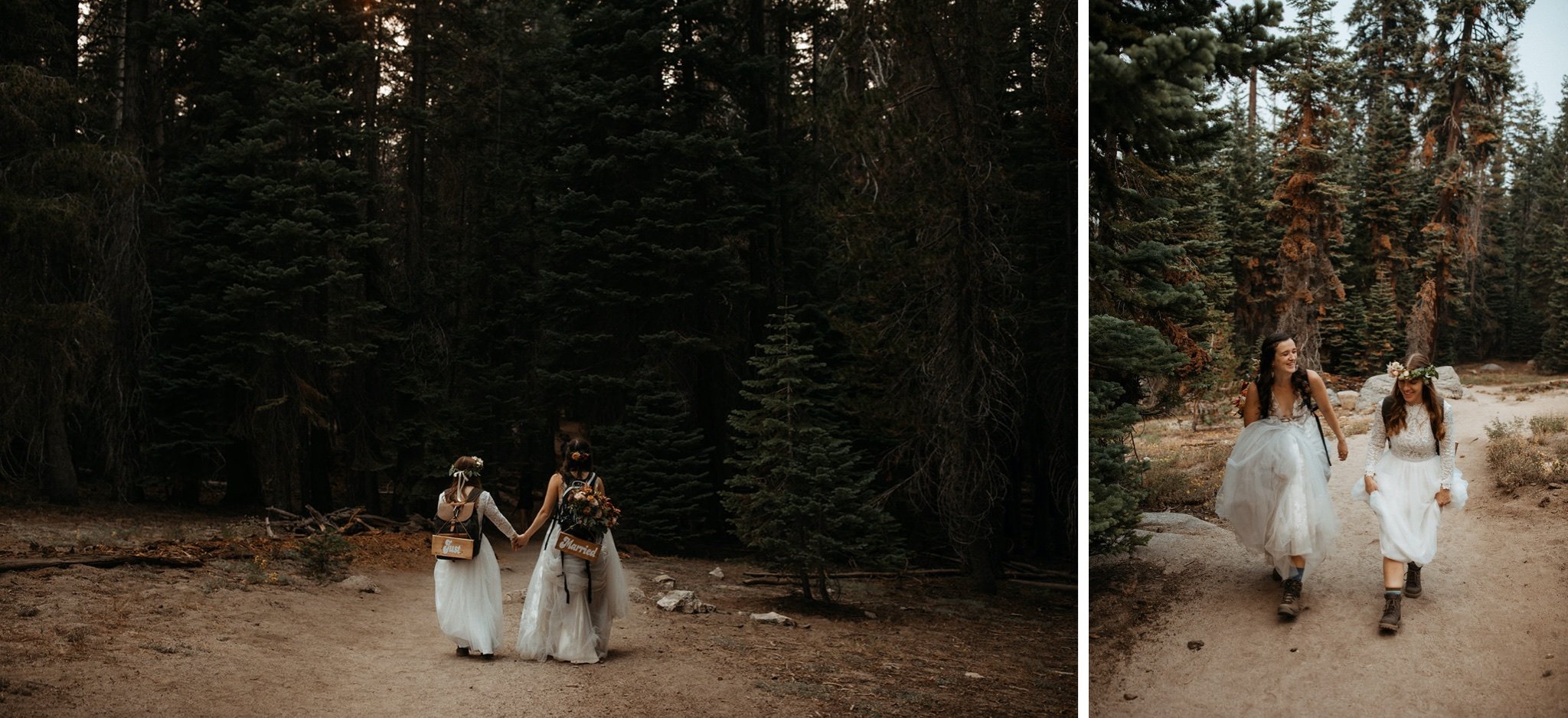 Yosemite National Park Elopement with Two Brides-Will Khoury29.jpg