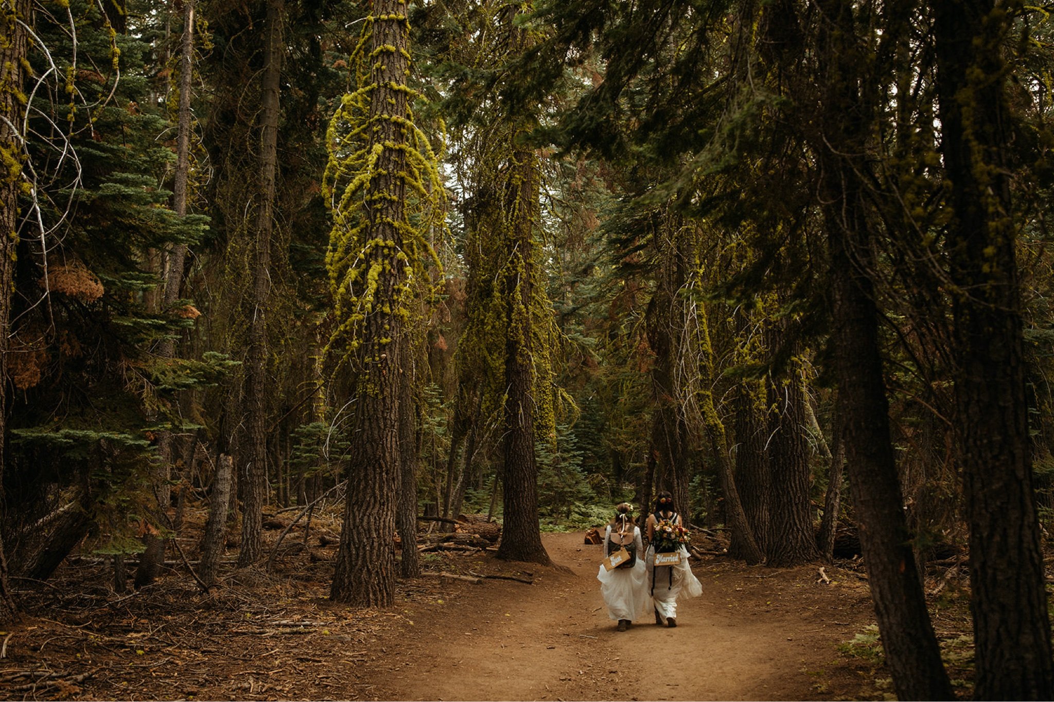 Yosemite National Park Elopement with Two Brides-Will Khoury31.jpg
