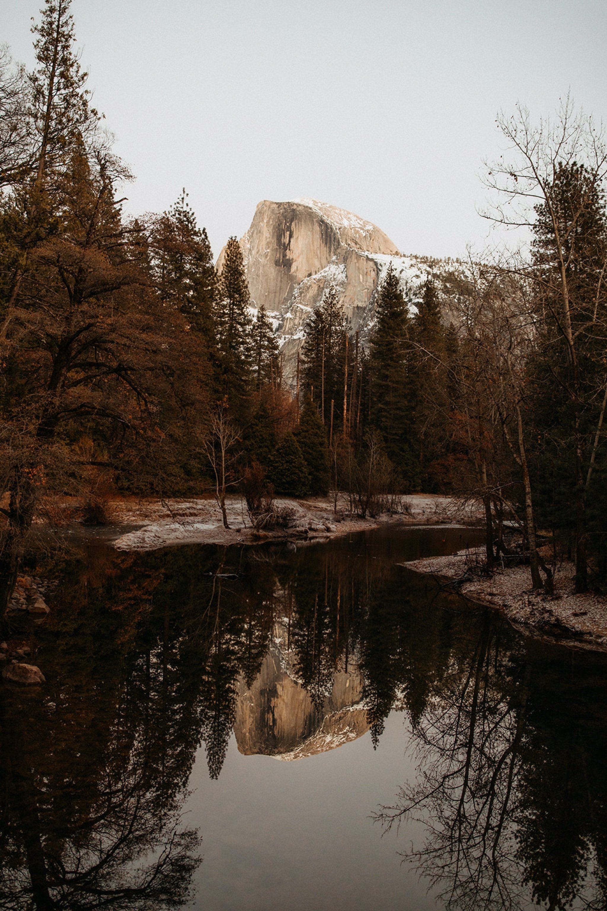 LGBT-Yosemite-National-Park-Elopement-with-Two-Brides-Will-Khoury-Elopement-Photographer_73.jpg