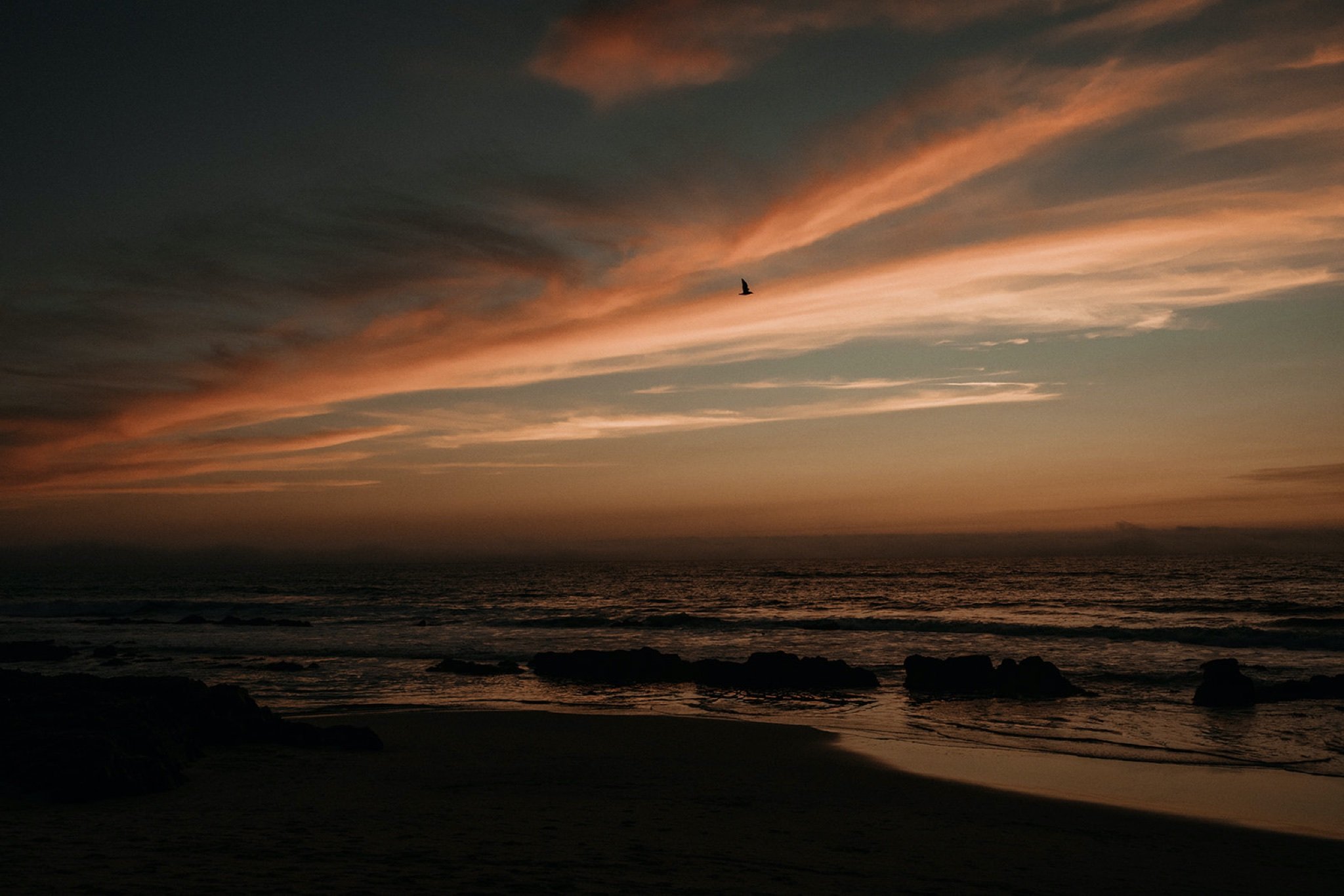 Beach-Elopement-in-Half-Moon-Bay-California-Will-Khoury-Elopement-Photographer_88.jpg