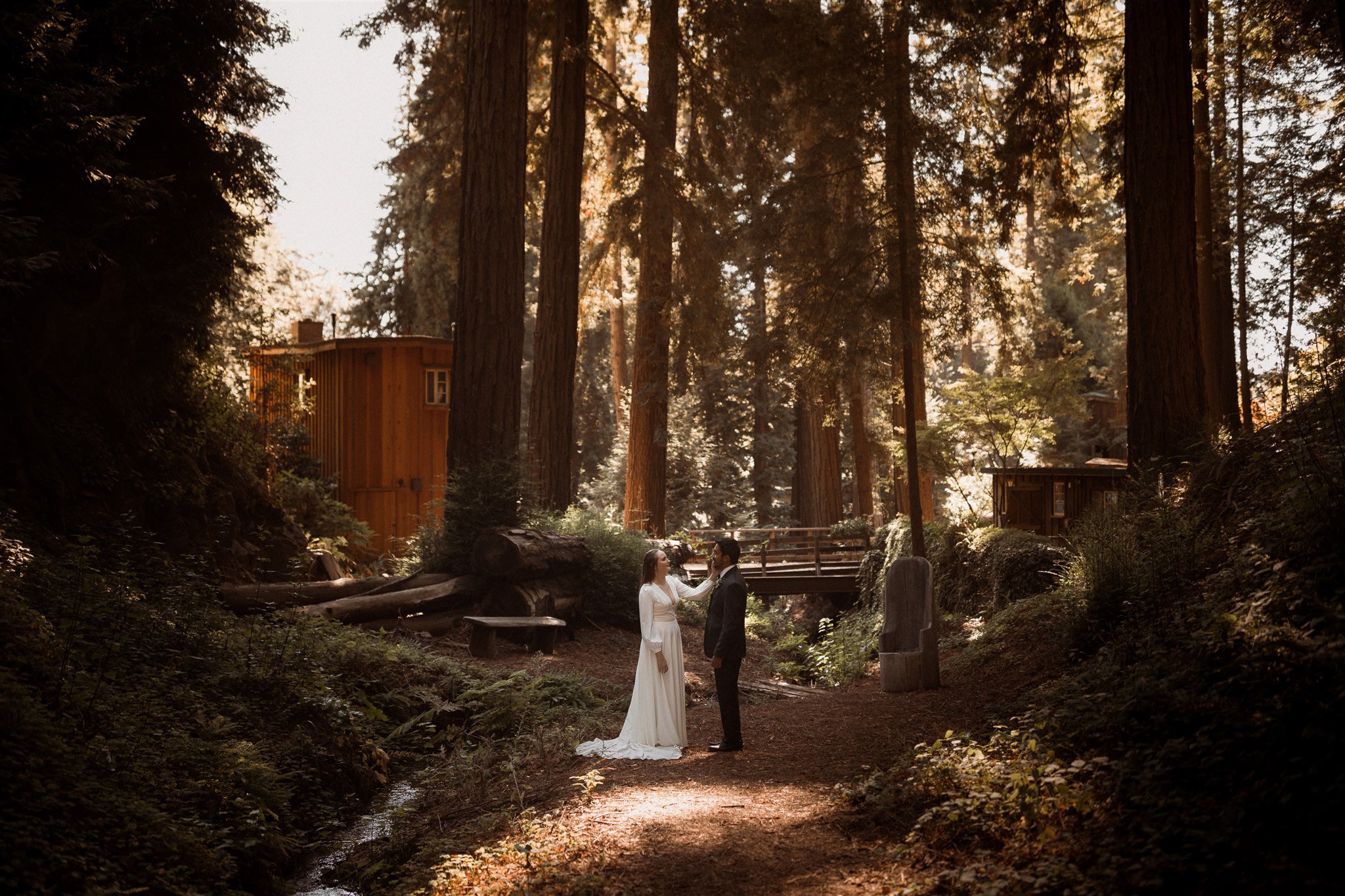 024_Two-Day Big Sur Redwoods Elopement with Family_Will Khoury Elopement Photographer.jpg