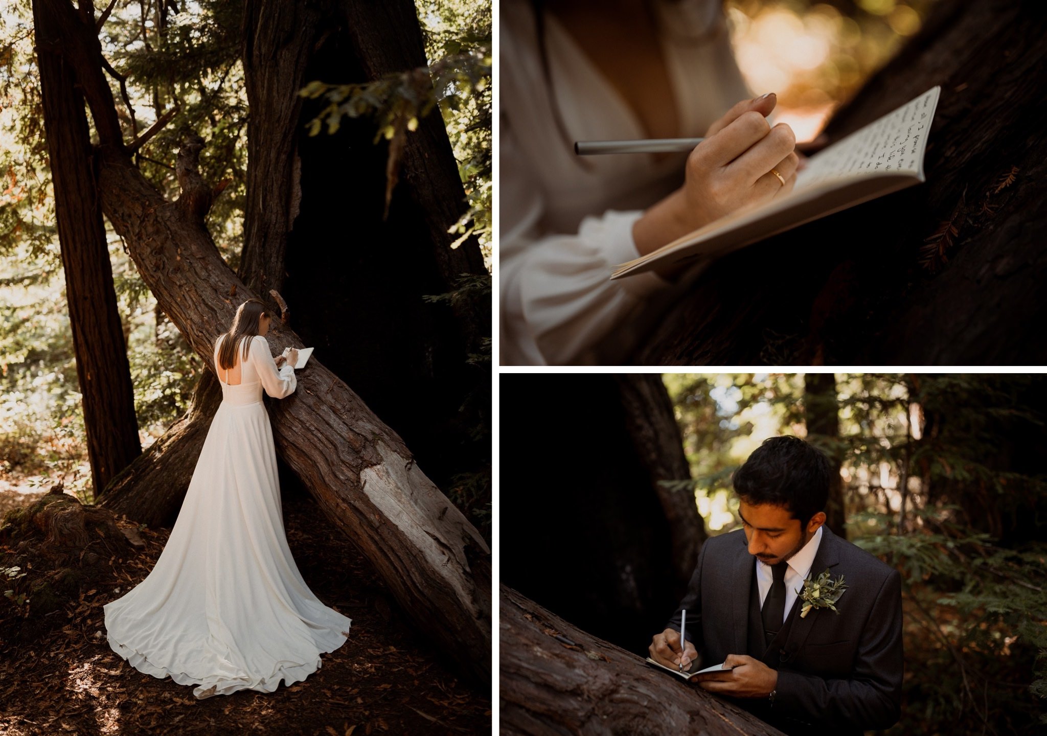 037_Two-Day Big Sur Redwoods Elopement with Family_Will Khoury Elopement Photographer.jpg