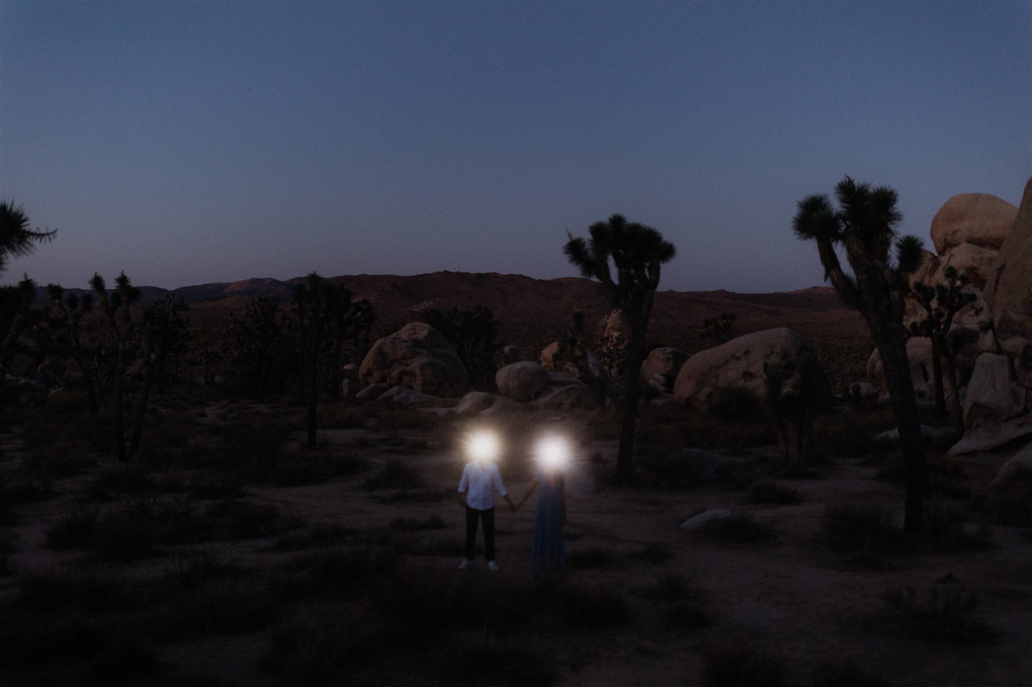 Joshua Tree Couples Session Surprise Proposal - Will Khoury Photography_02.jpg