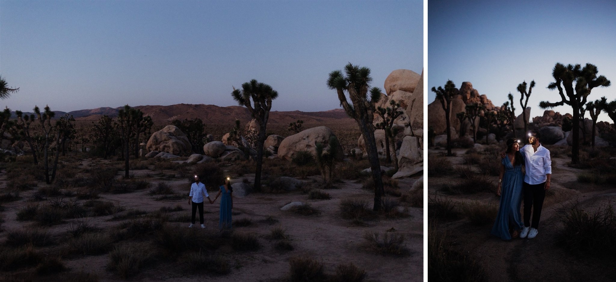 Joshua Tree Couples Session Surprise Proposal - Will Khoury Photography_03.jpg