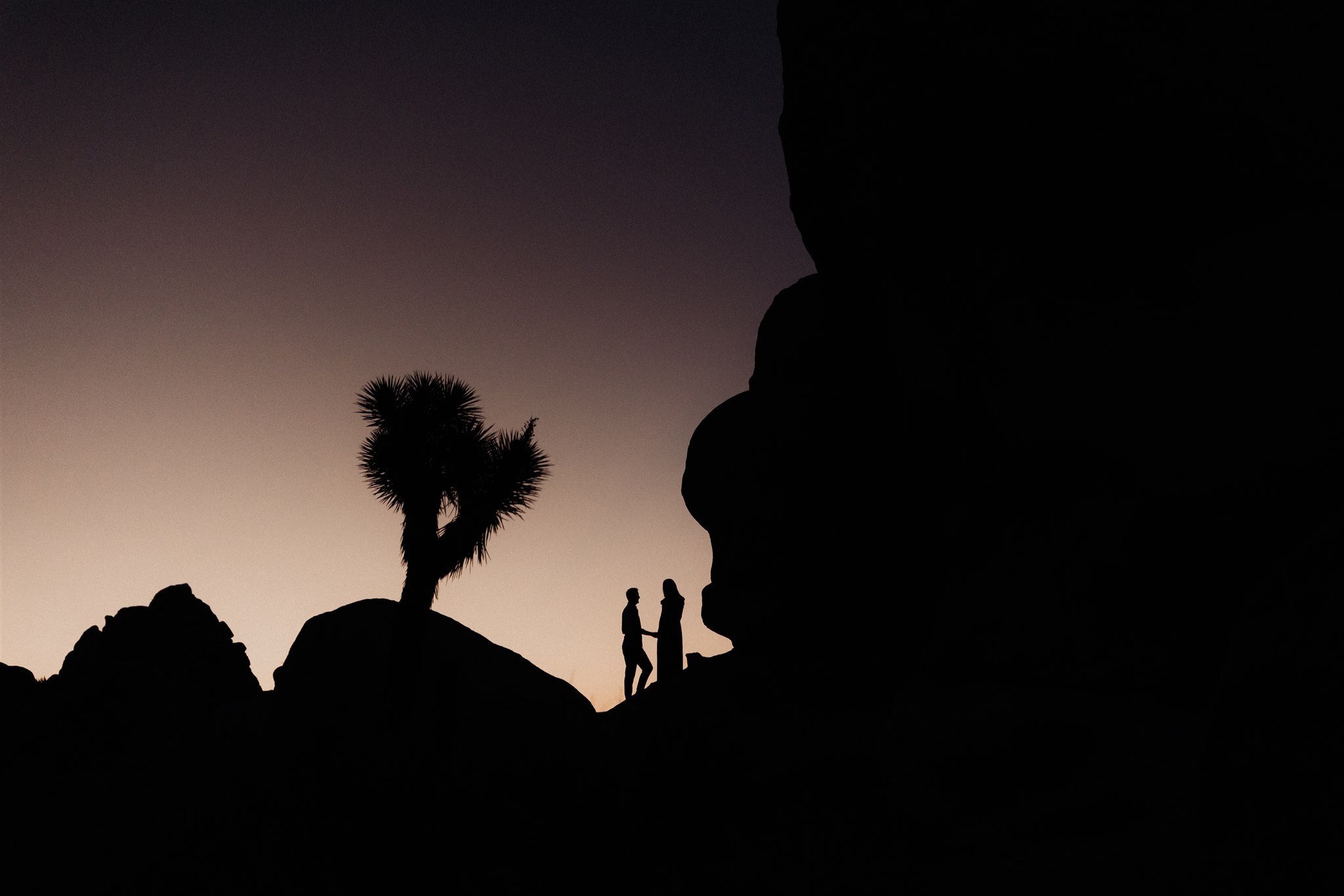 Joshua Tree Couples Session Surprise Proposal - Will Khoury Photography_05.jpg