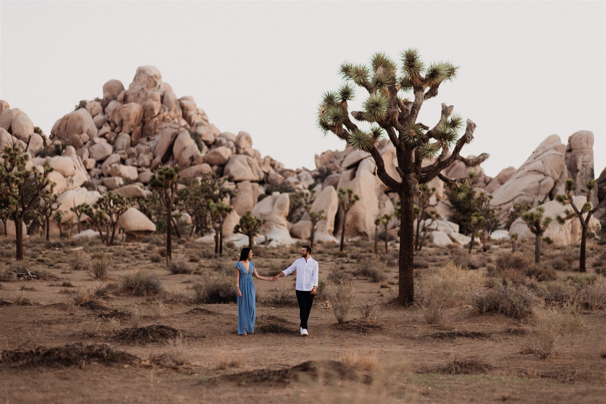 Joshua Tree Couples Session Surprise Proposal - Will Khoury Photography_09.jpg