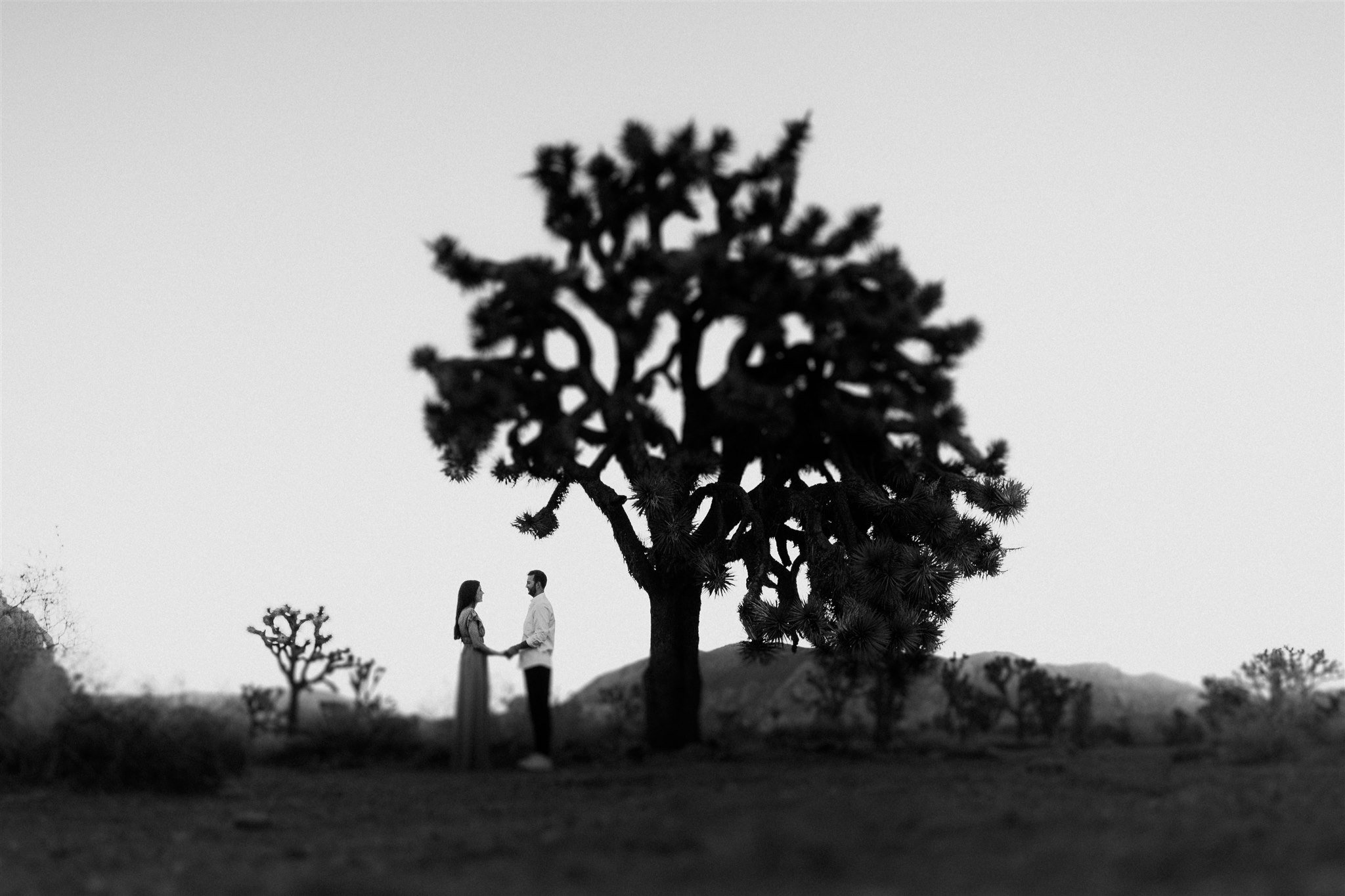 Joshua Tree Couples Session Surprise Proposal - Will Khoury Photography_11.jpg