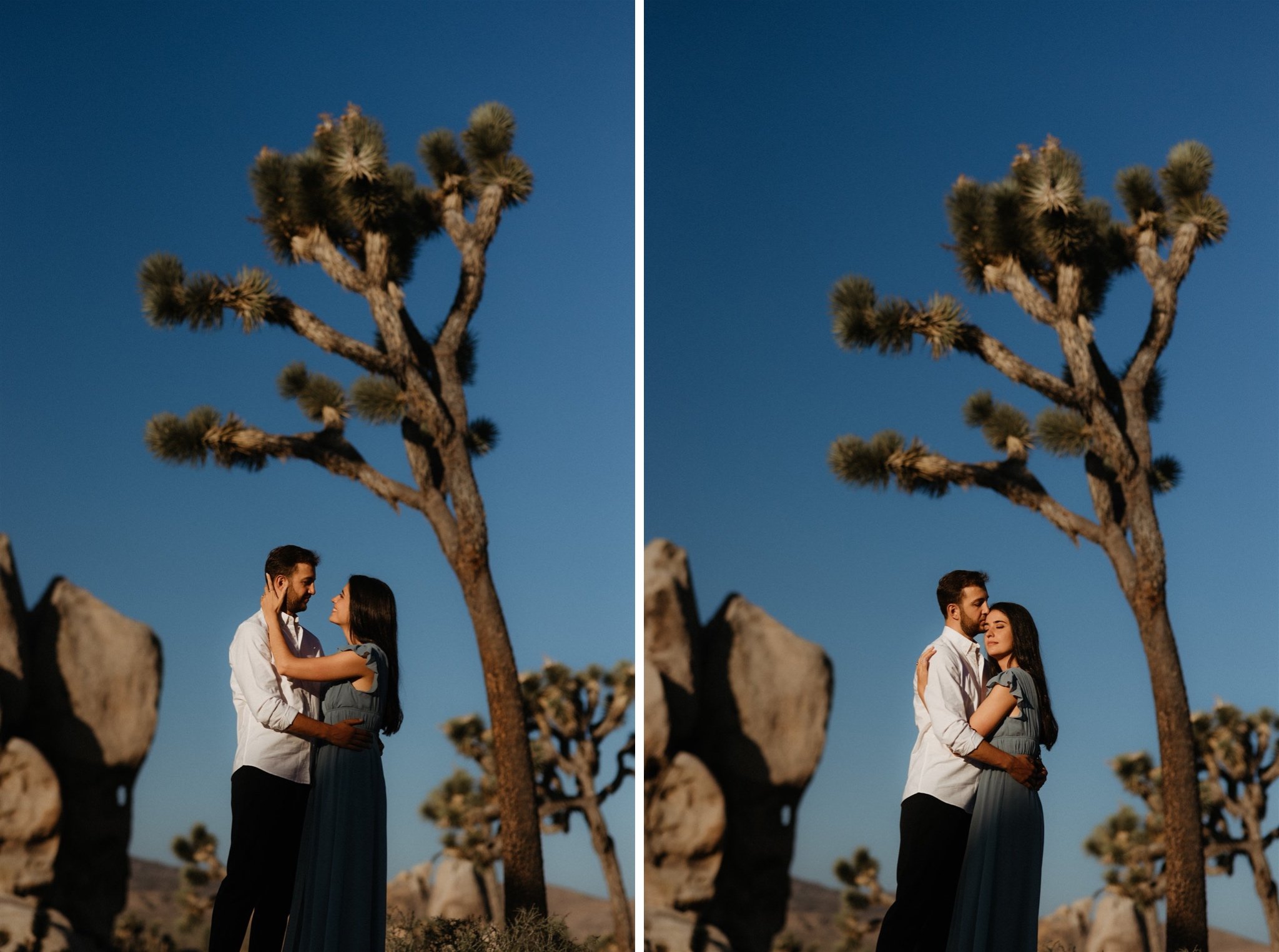 Joshua Tree Couples Session Surprise Proposal - Will Khoury Photography_17.jpg