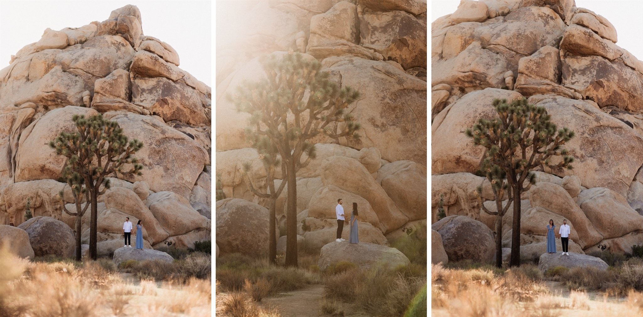 Joshua Tree Couples Session Surprise Proposal - Will Khoury Photography_19.jpg