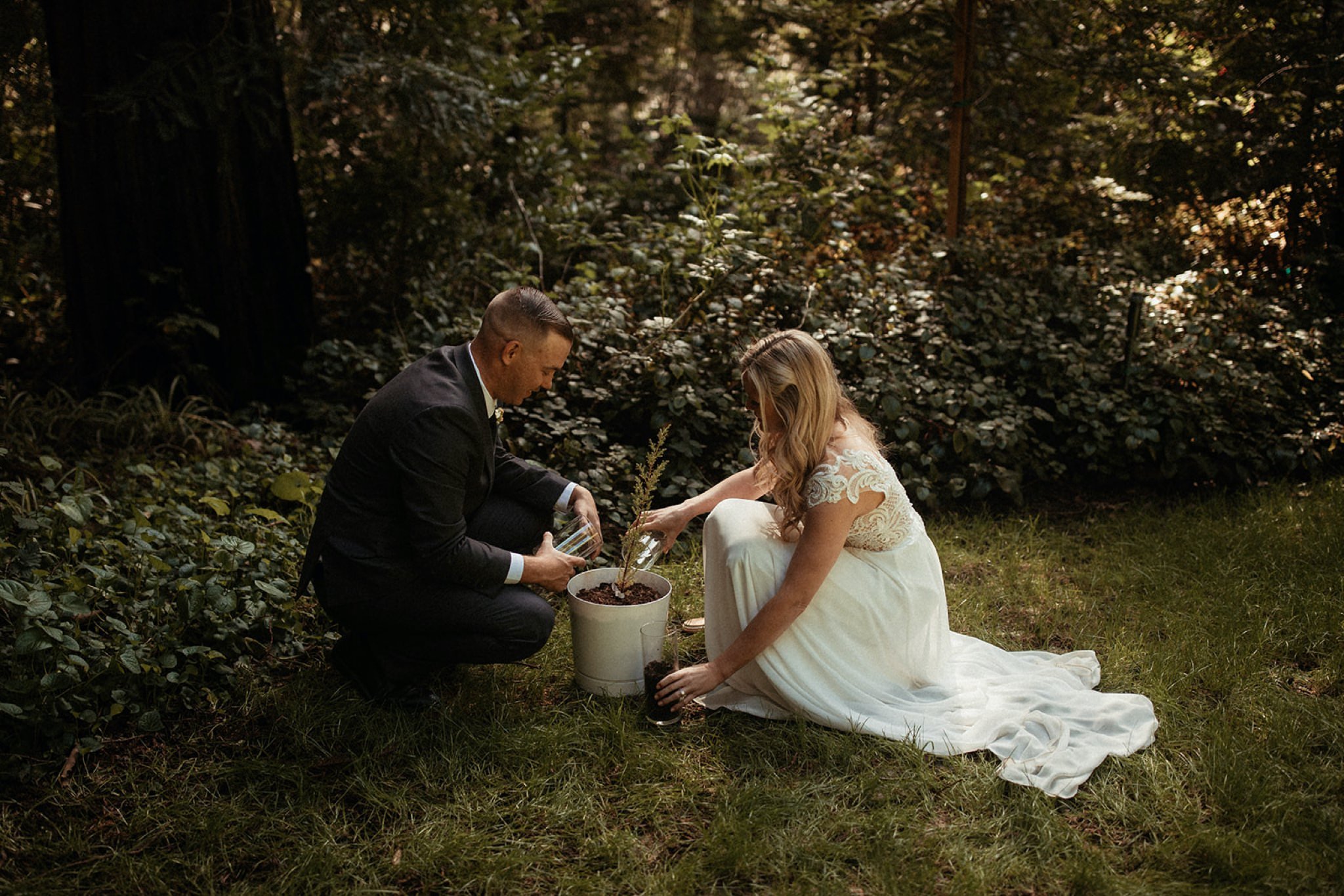 35_Big Sur Elopement at Glen Oaks _ Will Khoury Elopement Photographer.jpg