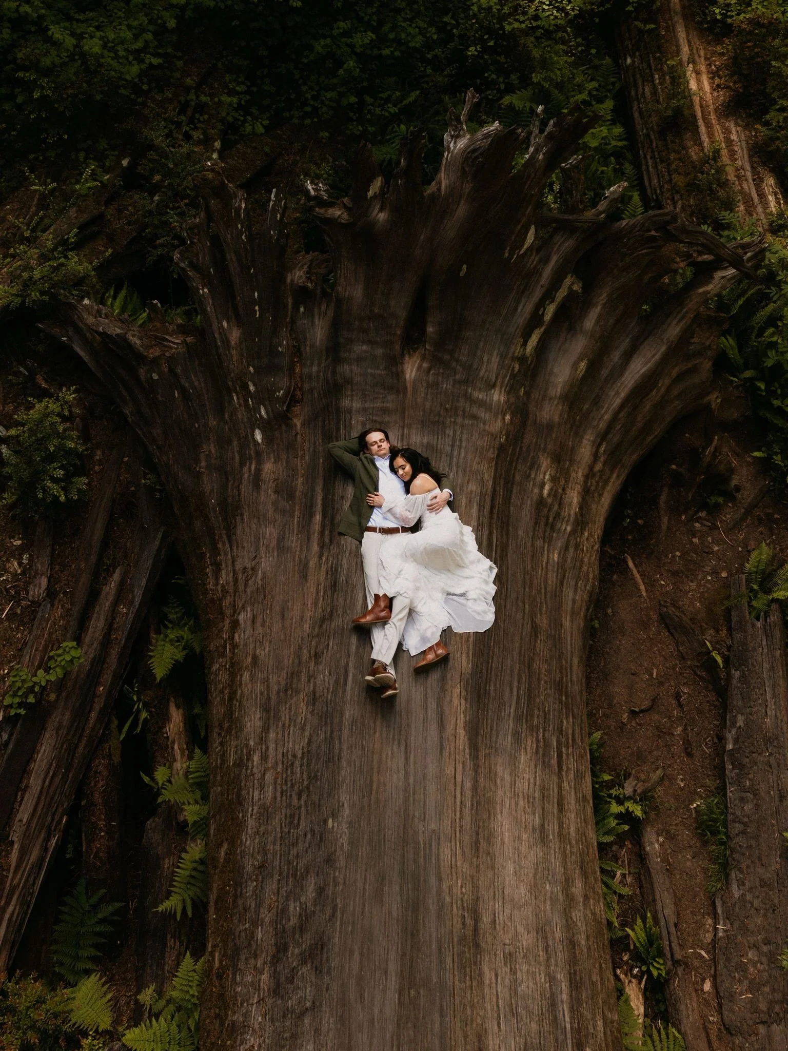 A new favorite from E &amp; D&rsquo;s engagement session in the Redwoods. More to come from this amazing day with them!
&bull;
&bull;
&bull;
Redwood Engagement Session | Couples Photographer | Elopement Photographer | California Wedding Photos | Cali