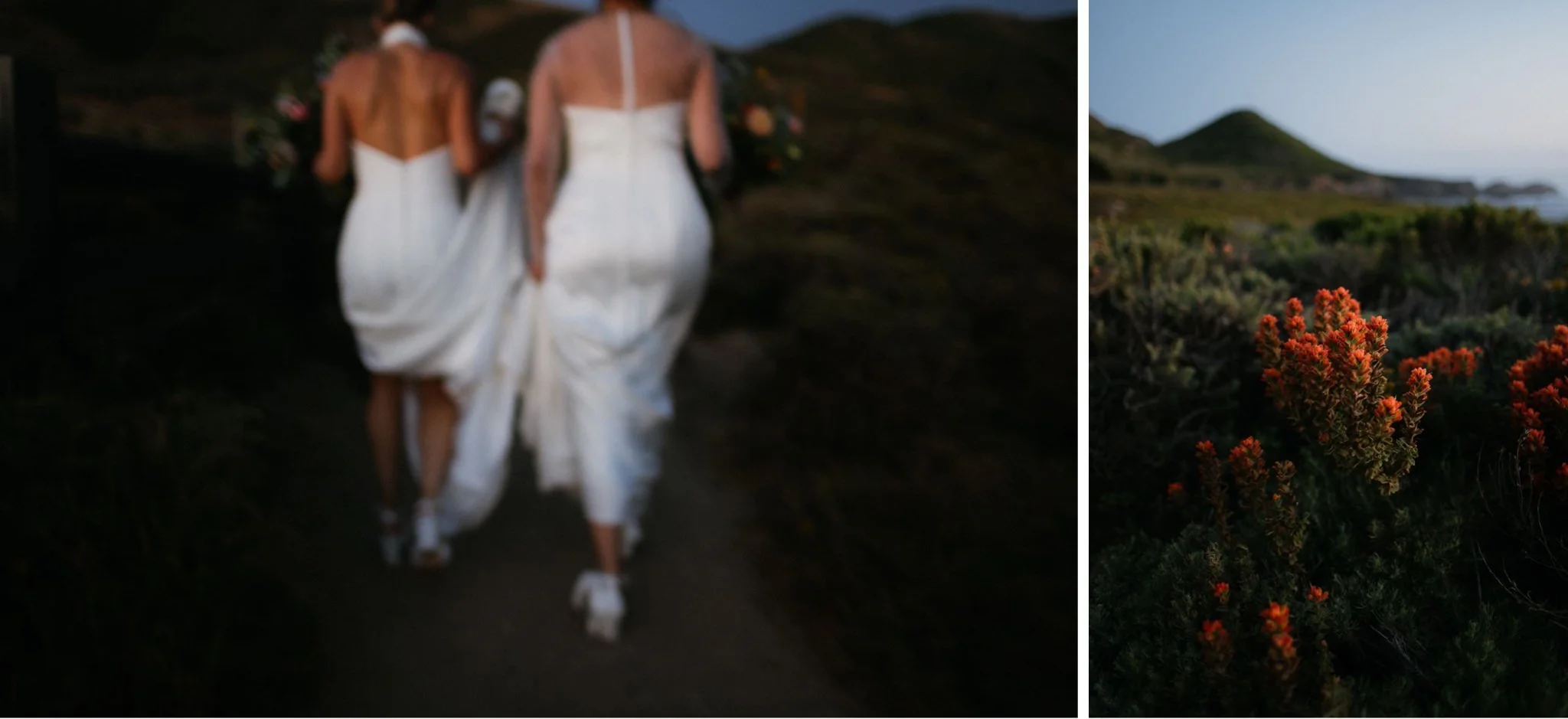 Carmel-Big-Sur-Elopement-Will-Khoury-Photography_53.jpg