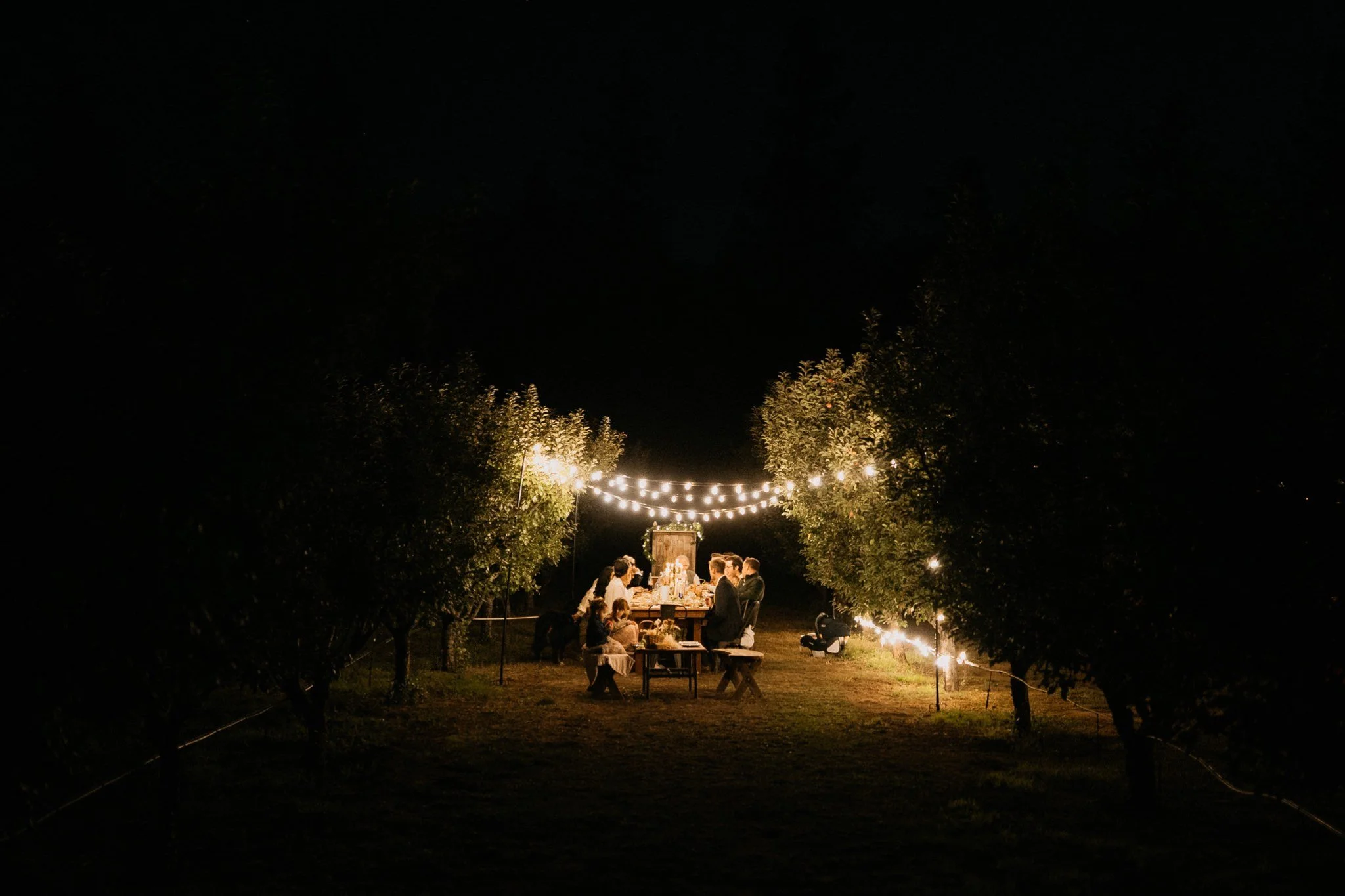 Two-Day-Intimate-Yosemite-Wedding-Will-Khoury-Photography_45.jpg