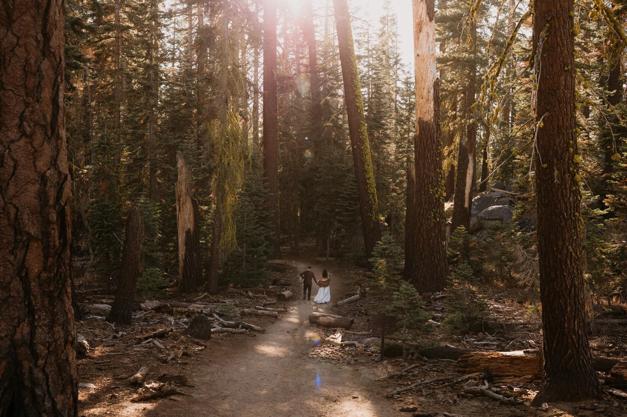 Two-Day-Intimate-Yosemite-Wedding-Will-Khoury-Photography_51.jpg