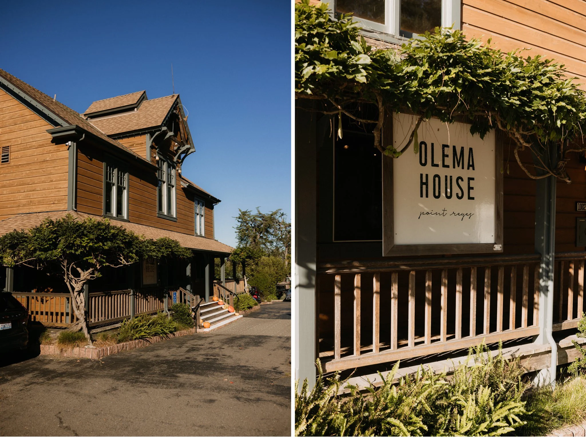 Olema-House-Wedding-Point-Reyes-Will-Khoury-Photography_5.jpg
