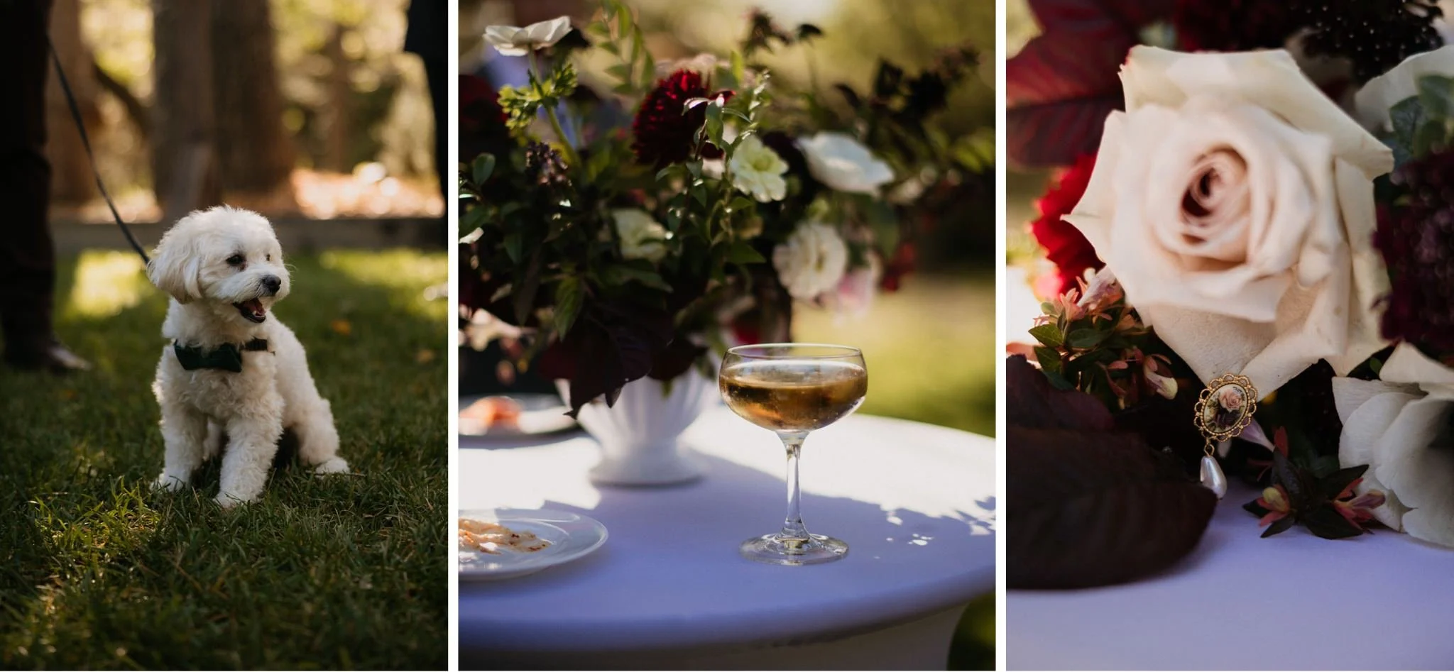 Olema-House-Wedding-Point-Reyes-Will-Khoury-Photography_33.jpg
