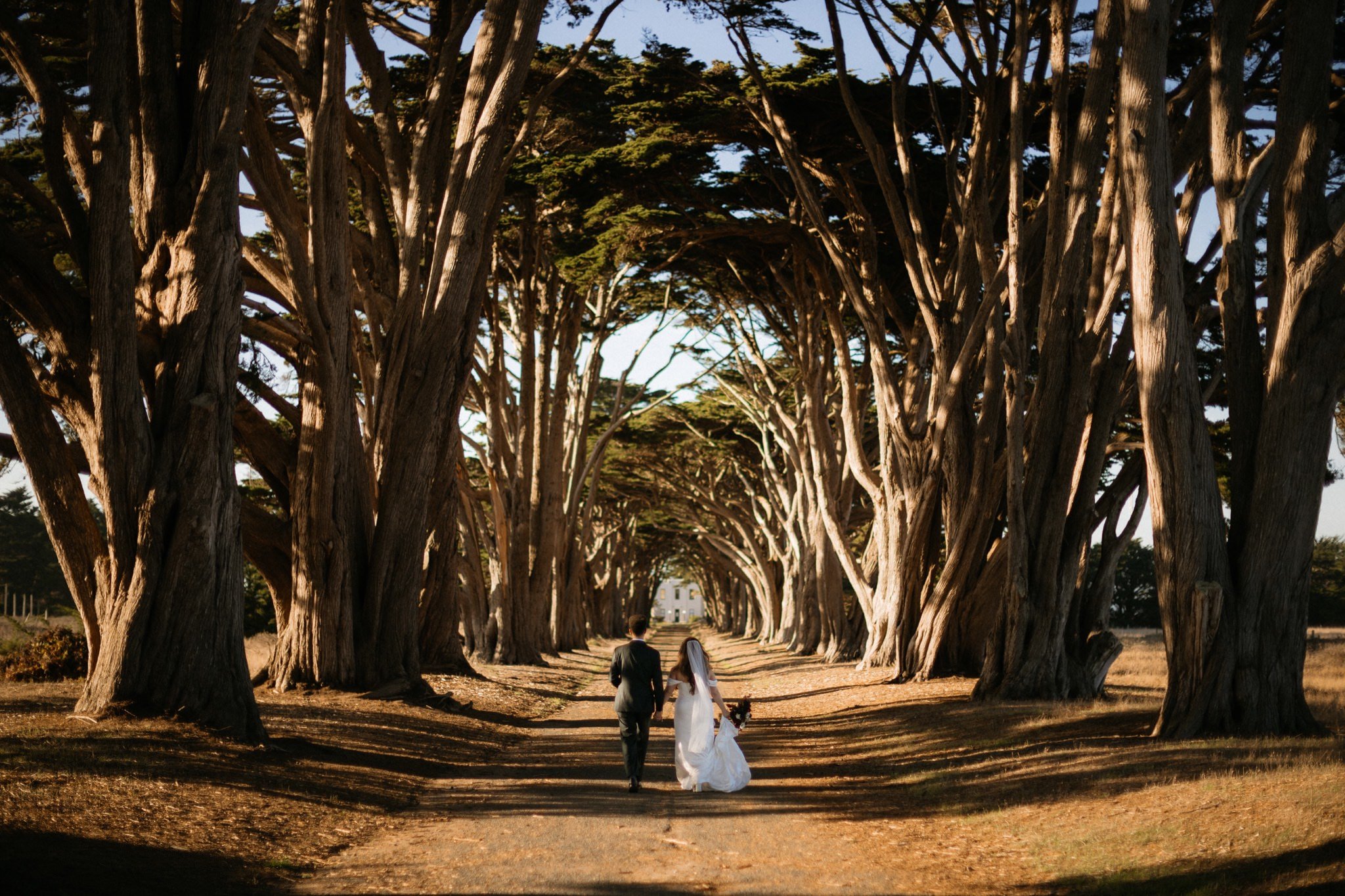 Olema-House-Wedding-Point-Reyes-Will-Khoury-Photography_38.jpg
