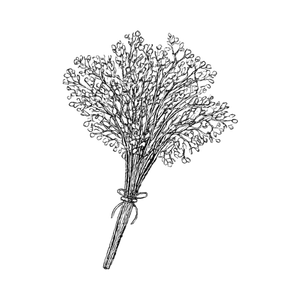 A bouquet of dried flowers wrapped with a rubber band.