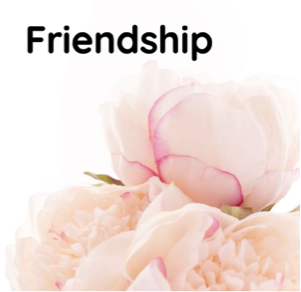 Friendship .png