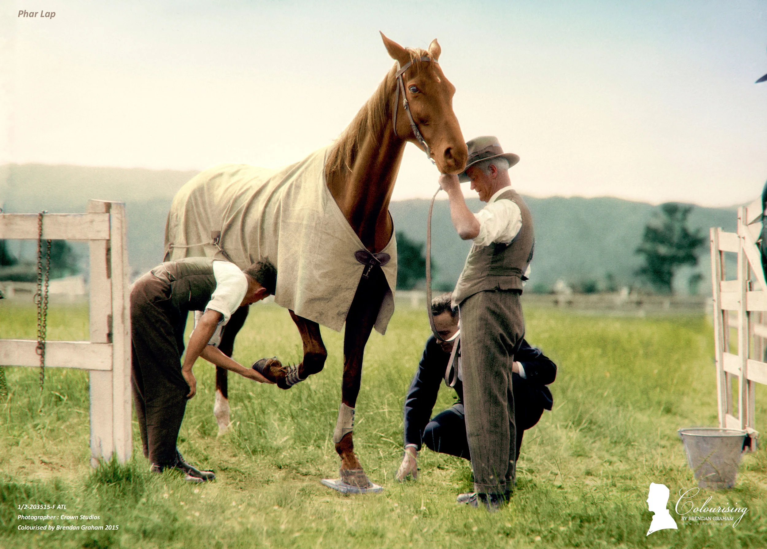 Phar Lap - Colourising by Brendan Graham