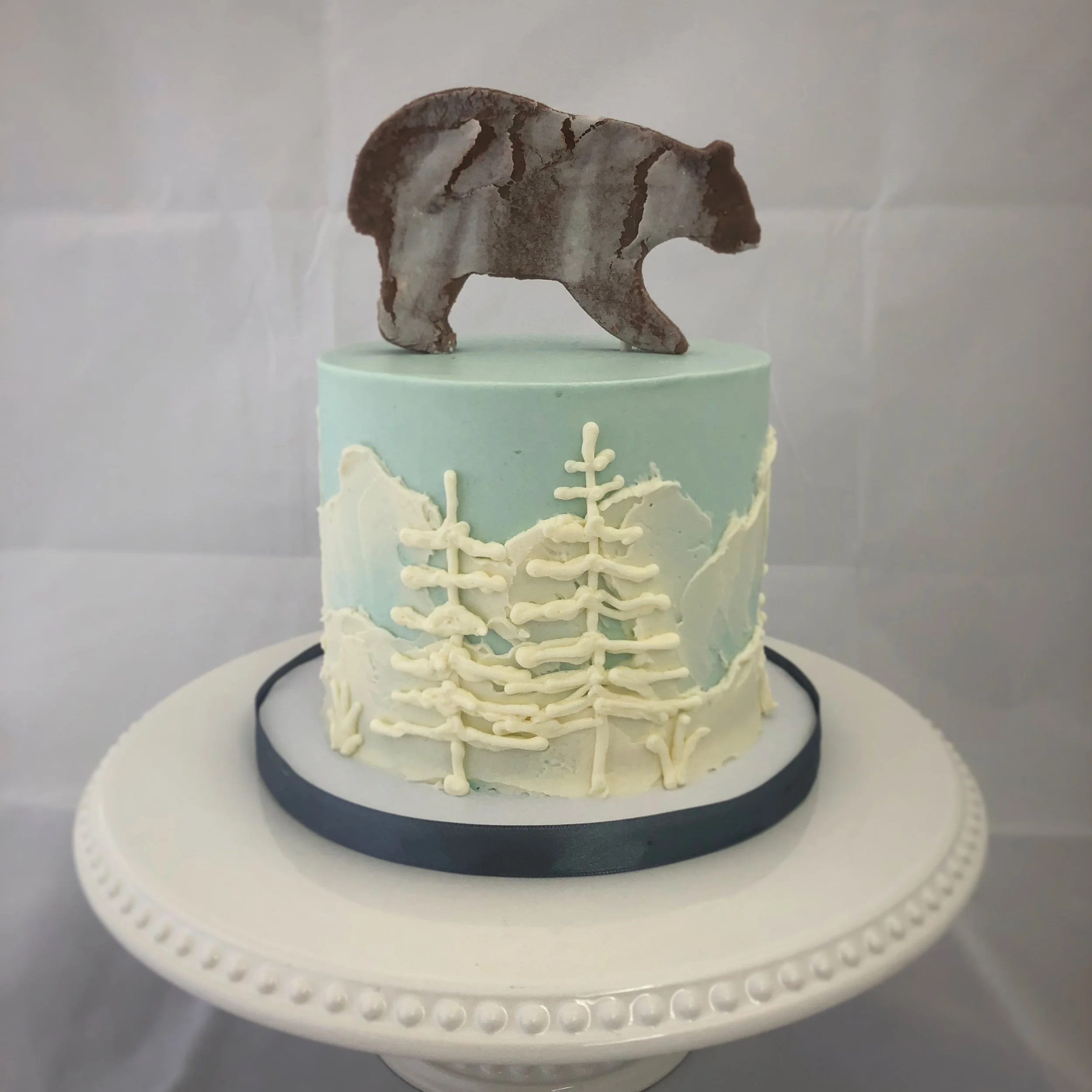 Mountians and bears.JPG