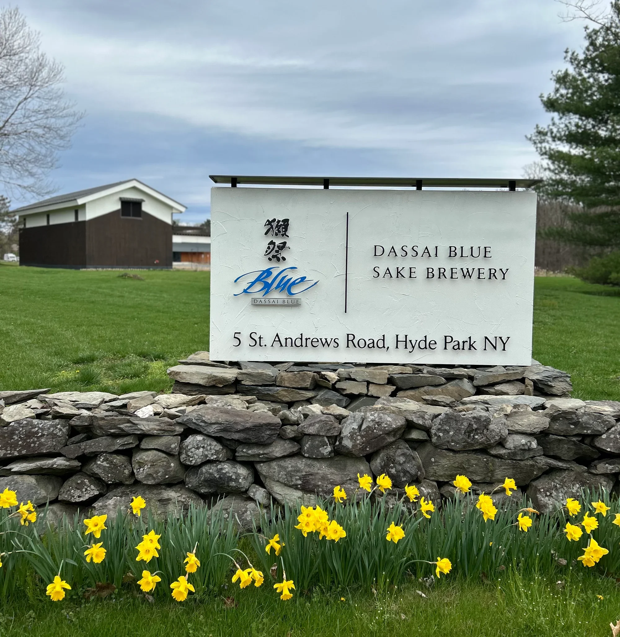 Dassai &amp; Dassai Blue — From Japan to New York, and Why Freshness Matters