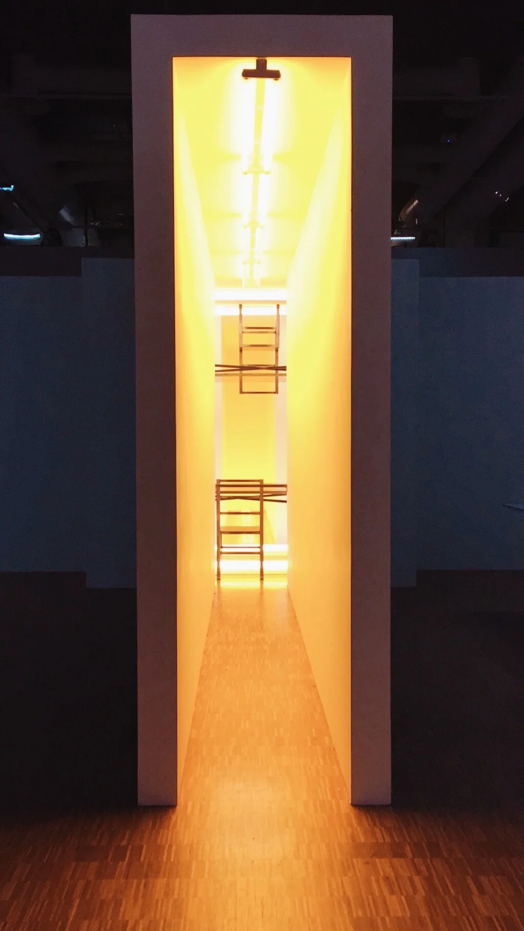 Bruce Nauman, Dream Passage with Four Corridors