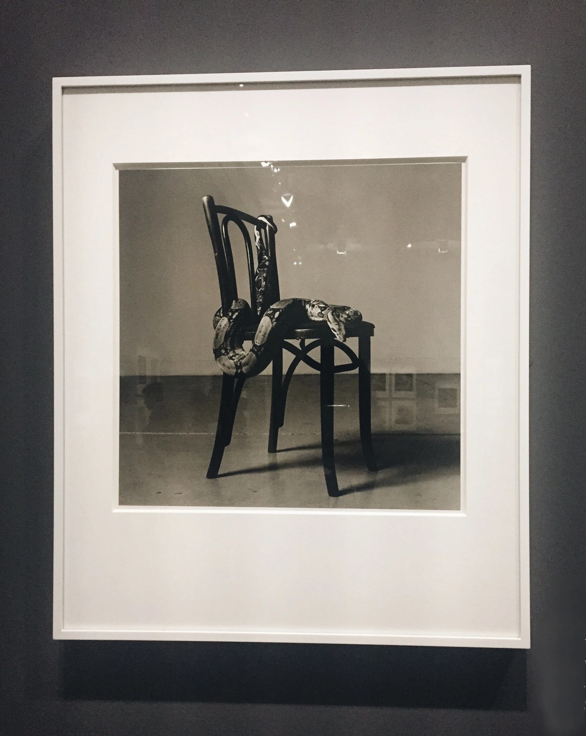 The Best Contemporary Art Museums in Paris — Contemporary Musings