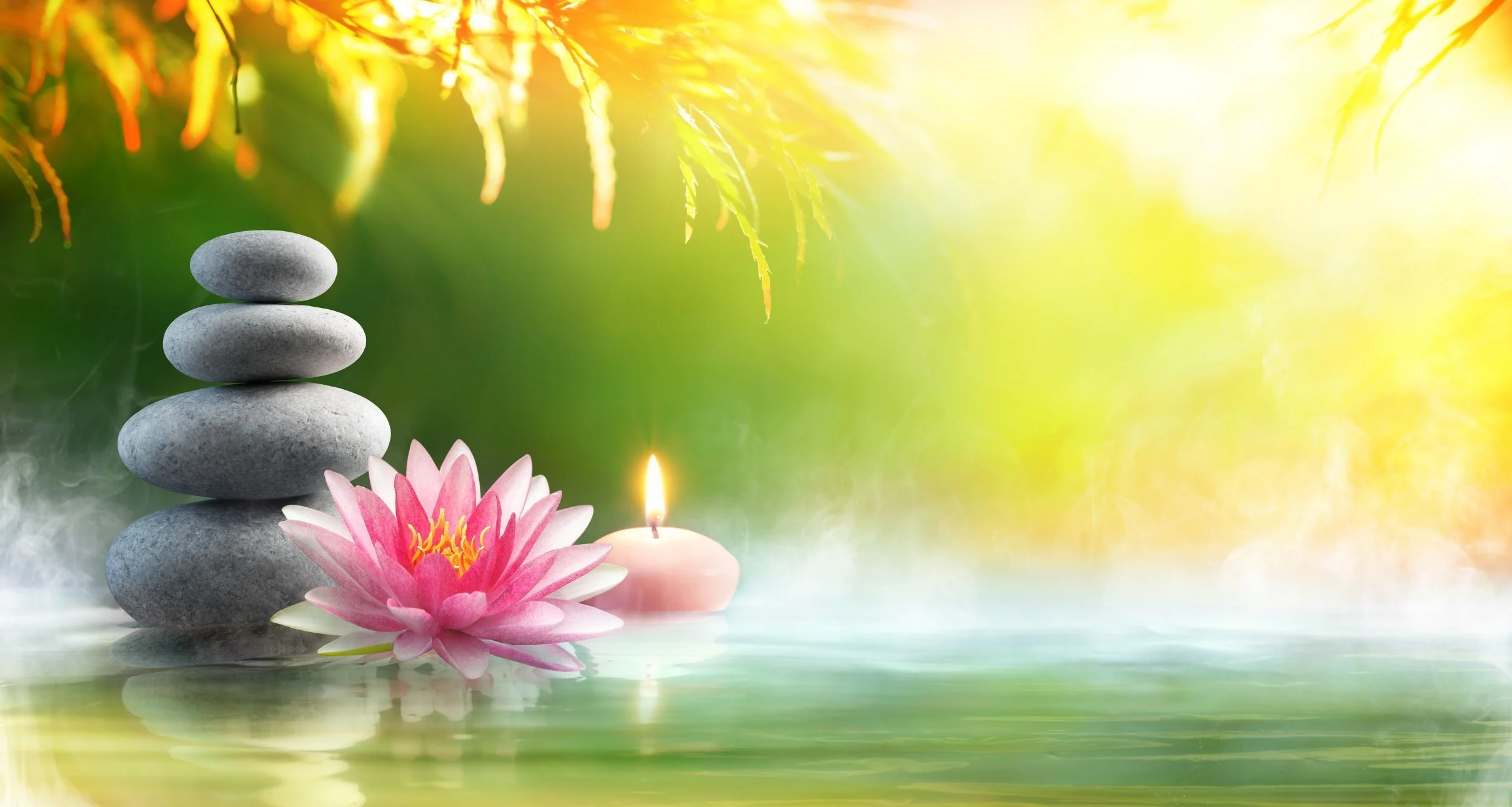 Mindfulness Meditation 