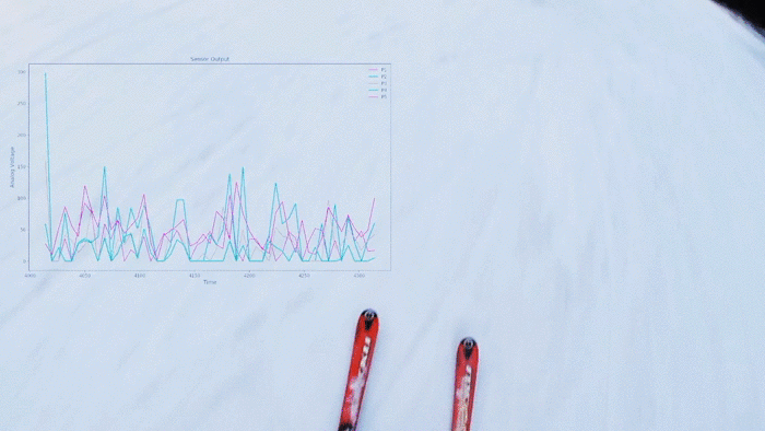 Ski Data.gif