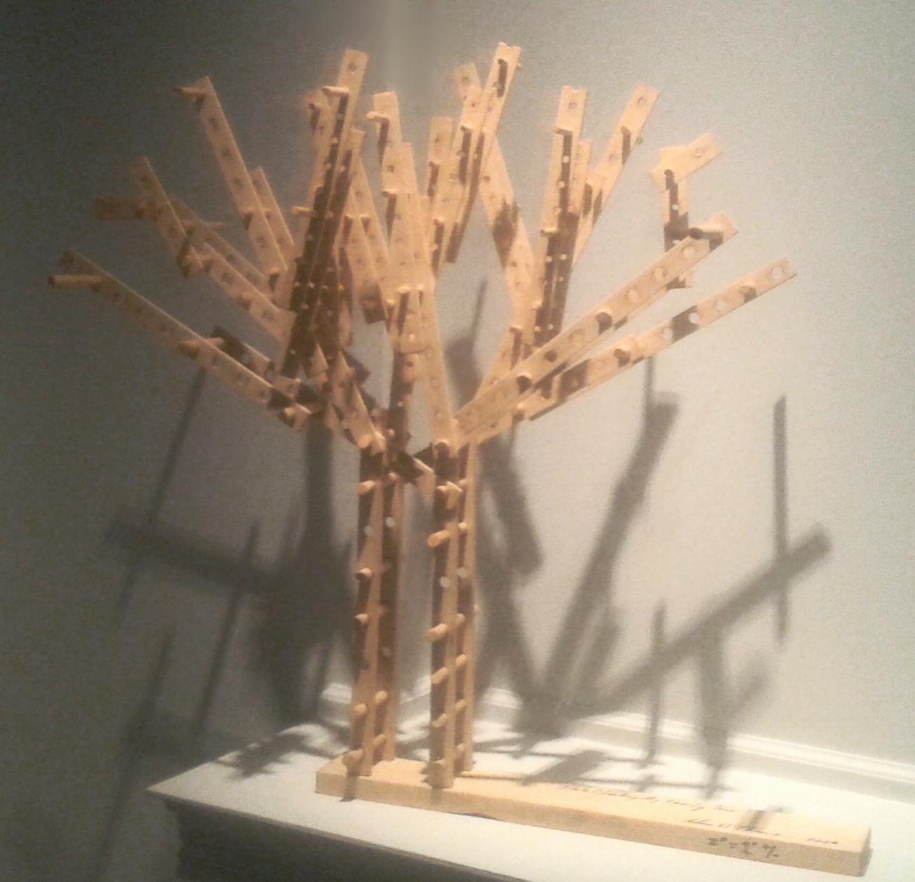 20150608_081113.jpg