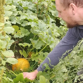 HAPPY LABOR DAY: FOUR WEEKS UNTIL FALL SHARE