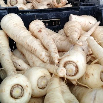 parsnips.jpg
