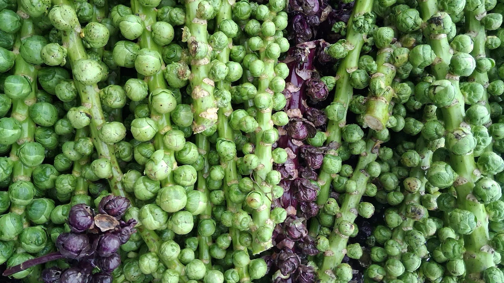 We’re back for Winter!