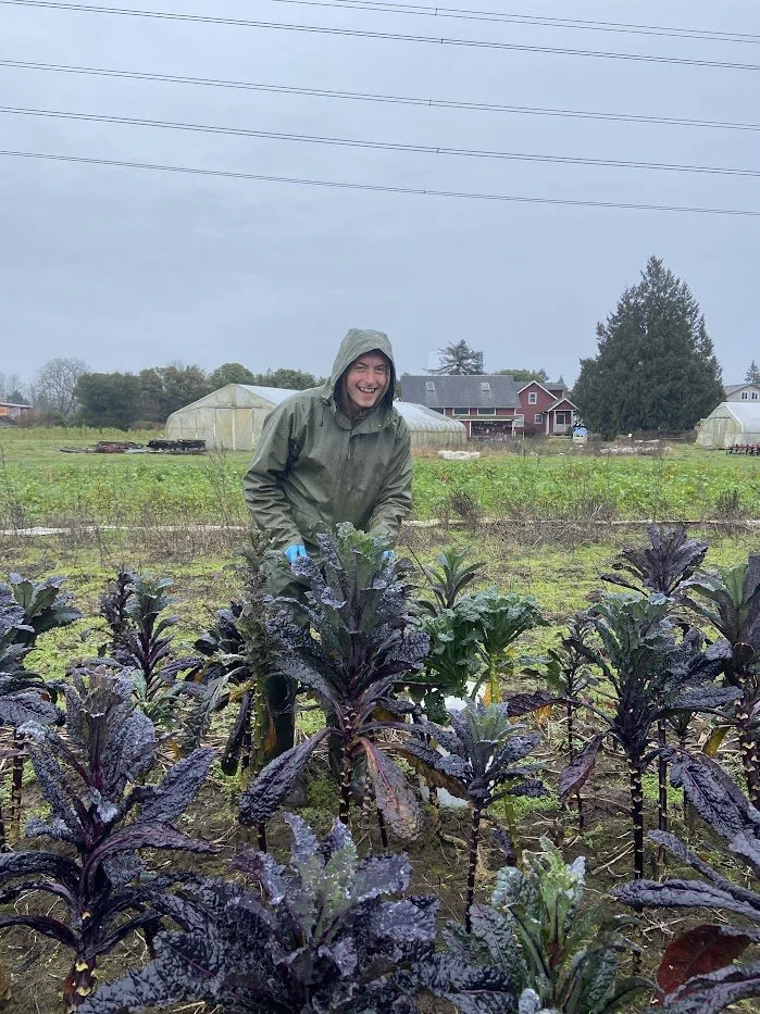 Winter 2026 #4/10: Take a Virtual Farm Walk of Wild Hare!