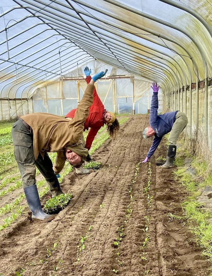 Winter 2026 #7/10: Mustard Mix &amp; Making Moves  