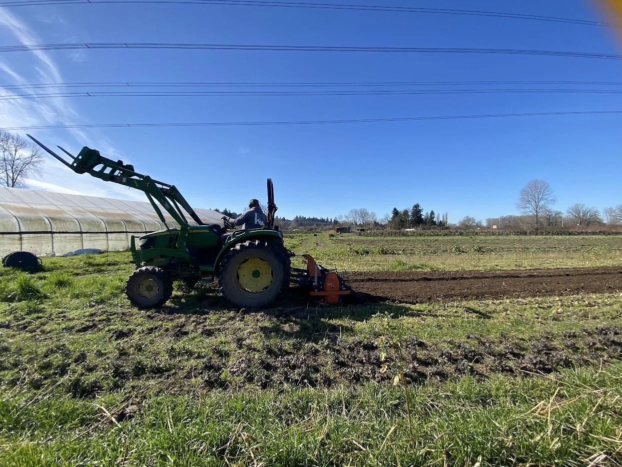 Winter 2026 #8/10: Breaking Ground &amp; Bringing in More Bok Choy